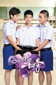 Sweet Boy 2016 one on netflix