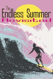 The Endless Summer Revisited 2000 one on netflix