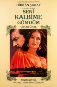 Seni Kalbime Gömdüm 1982 one on netflix