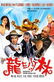 Dragon from Shaolin 1996 one on netflix