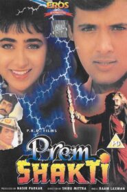 Prem Shakti 1994 one on netflix