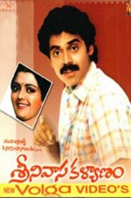 Srinivasa Kalyanam 1987 one on netflix