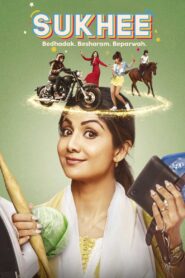 Sukhee 2023 one on netflix