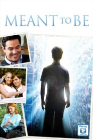 Meant to Be 2012 one on netflix