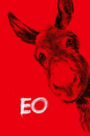 EO 2022 one on netflix
