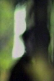 Totem Lesson 1989 one on netflix