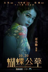 On Fallen Wings 2017 one on netflix