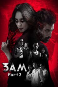 3 A.M. Part 2 2014 one on netflix