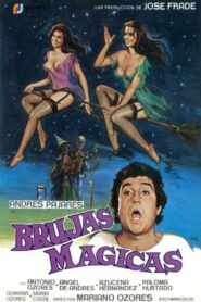 Magical Witches 1981 one on netflix