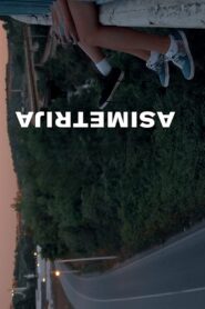 Asymmetry 2019 one on netflix