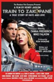 Train to Zakopané 2017 one on netflix