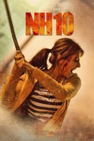 NH10 2015 one on netflix