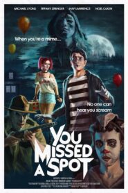 You Missed a Spot 2020 one on netflix