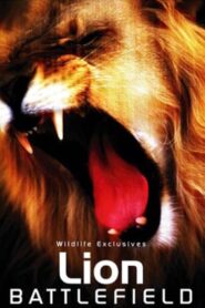 Lion Battlefield 2004 one on netflix