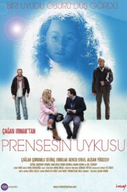 Sleeping Princess 2010 one on netflix