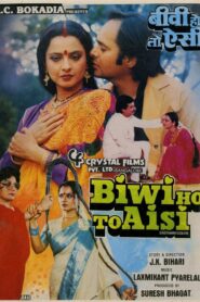 Biwi Ho To Aisi 1988 one on netflix
