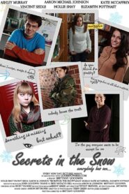 Secrets in the Snow 2013 one on netflix