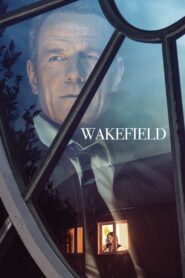 Wakefield 2017 one on netflix