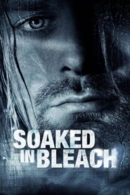 Soaked in Bleach 2015 one on netflix