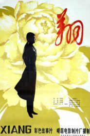 翔 2010 one on netflix