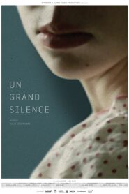 Veil of Silence 2016 one on netflix
