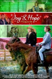Joy & Hope 2020 one on netflix