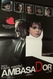 The Ambassador 1984 one on netflix