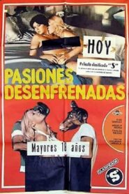 Unbridled Passions 1981 one on netflix
