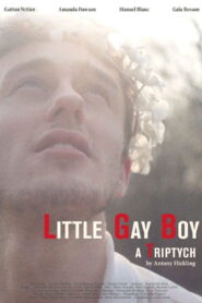 Little Gay Boy 2013 one on netflix