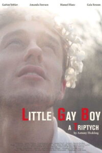 Little Gay Boy 2013 one on netflix