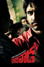Bejawada 2011 one on netflix