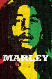 Marley 2012 one on netflix
