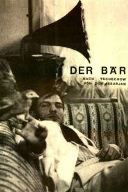 The Bear 1984 one on netflix