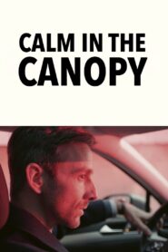 Calm in the Canopy 2024 one on netflix