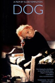 Dog 2001 one on netflix