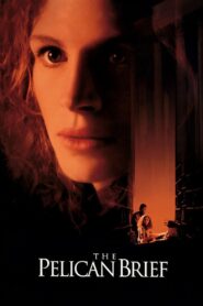 The Pelican Brief 1993 one on netflix