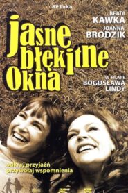 Jasne błękitne okna 2007 one on netflix