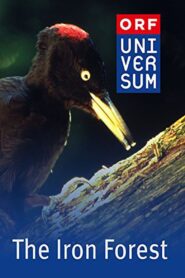 The Iron Forest 1998 one on netflix