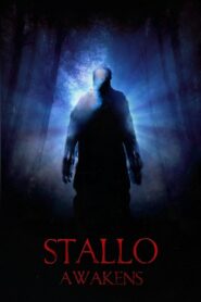 Stallo Awakens 2018 one on netflix