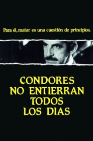 A Man of Principle 1984 one on netflix