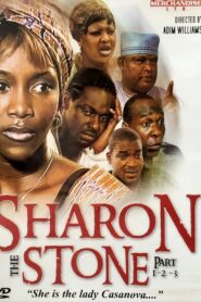 Sharon Stone 2002 one on netflix