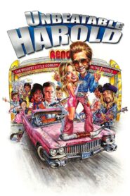Unbeatable Harold 2006 one on netflix