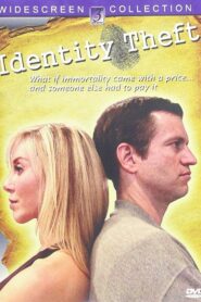 Identity Theft 2009 one on netflix
