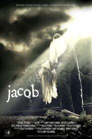 Jacob 2011 one on netflix