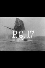 P.Q. 17 1981 one on netflix
