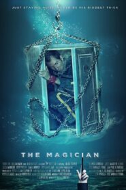 The Magician 2014 one on netflix