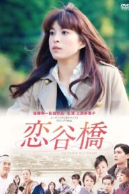 Valley of Dreams 2011 one on netflix