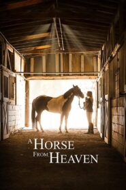 A Champion Heart 2018 one on netflix