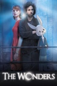 The Wonders 2013 one on netflix