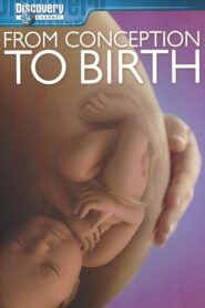 From Conception to Birth 2005 one on netflix